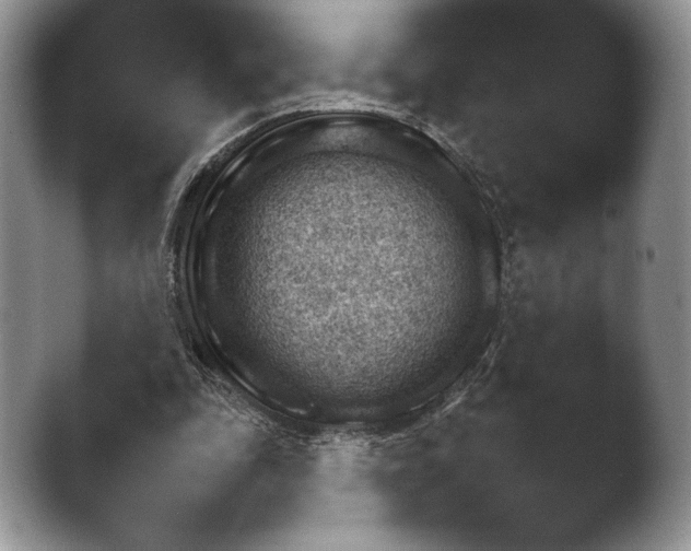 X0000042500343200411221318.png