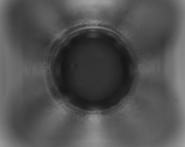 X0000054730352200508171858.png