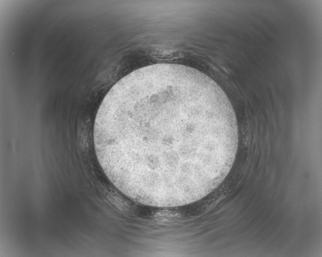 X0000054270515200508261919.png