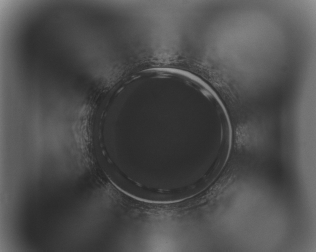 X0000047501202200503161504.png