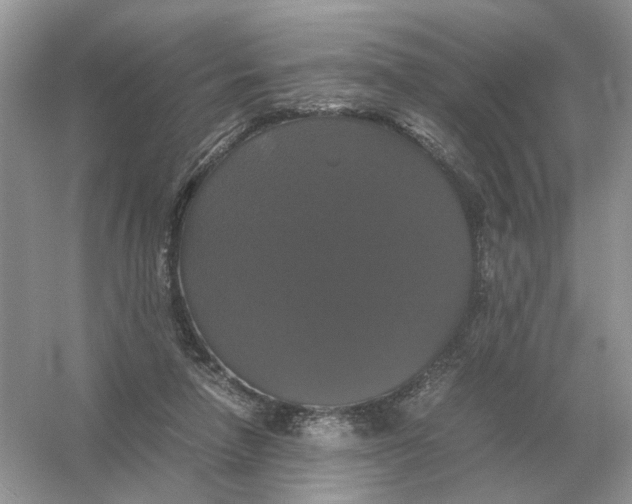 X0000054350258200508190136.png