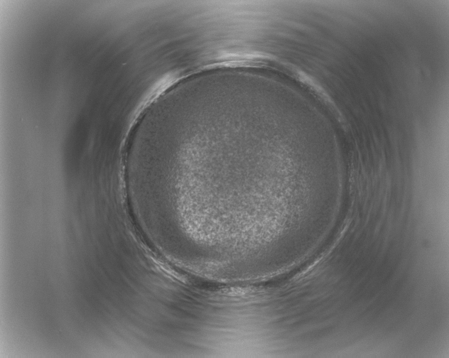 X0000054301362200508042259.png