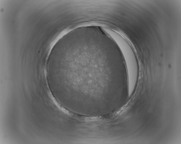 X0000054170813200508101758.png