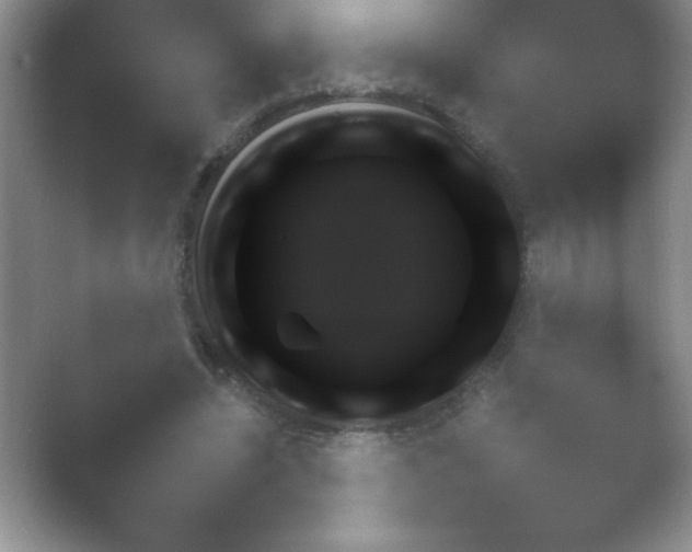 X0000054730444200508171856.png