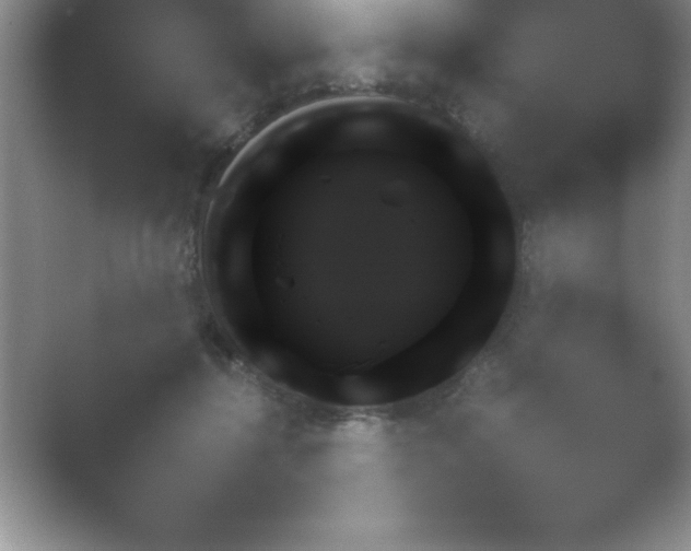 X0000054730364200508171858.png