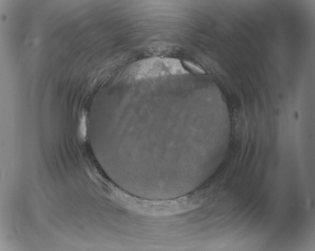 X0000054170042200508101811.png