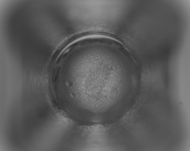 X0000052280112200507132039.png