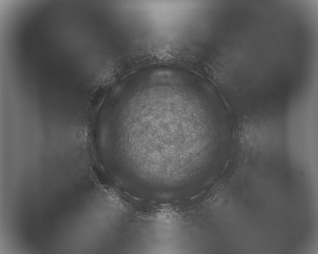 X0000052280466200507132033.png