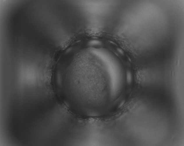 X0000048530570200503171514.png