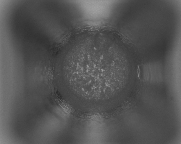 X0000051541395200506281726.png