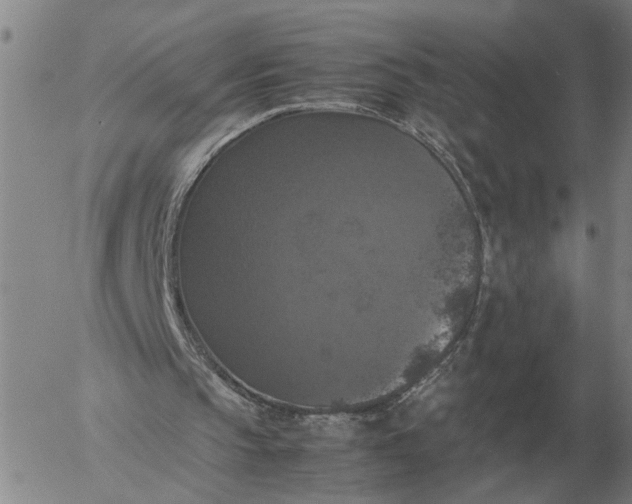 X0000054170145200508101808.png