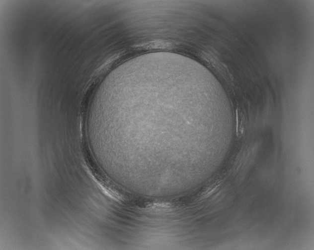 X0000055250157200509071624.png