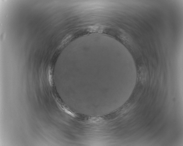 X0000054351154200508190121.png