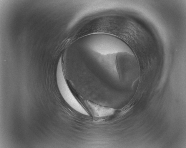 X0000055060143200508161655.png