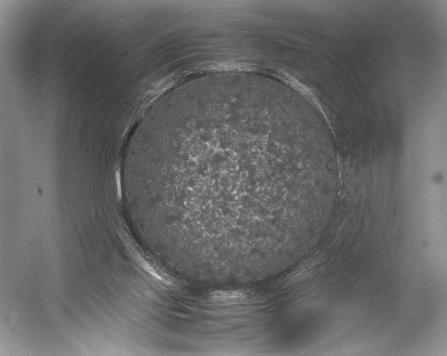 X0000055060061200508161656.png