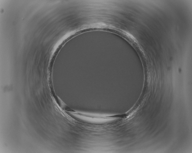 X0000054171326200508101750.png