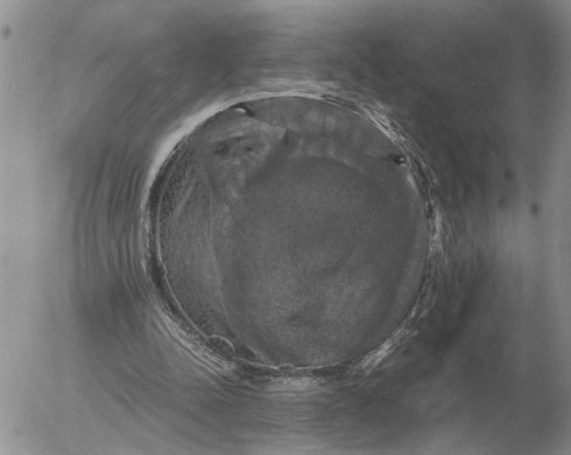 X0000054170342200508101805.png