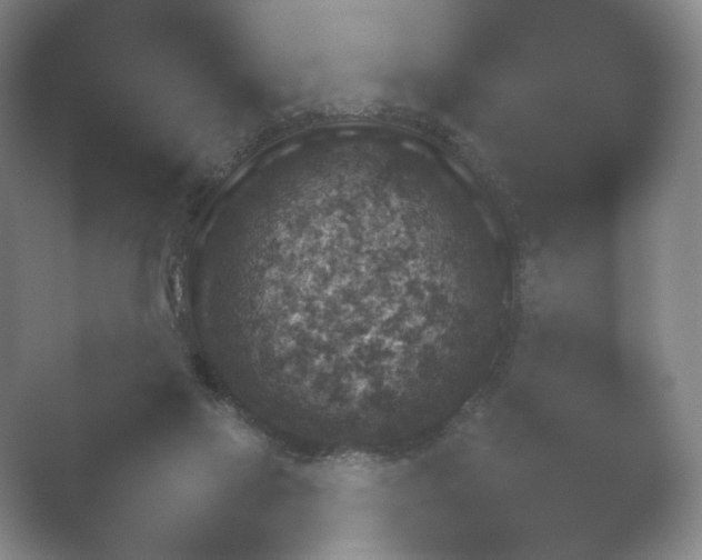 X0000052150069200507052002.png