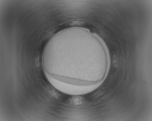 X0000055250514200509071619.png