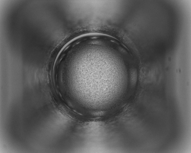 X0000042500251200411221320.png