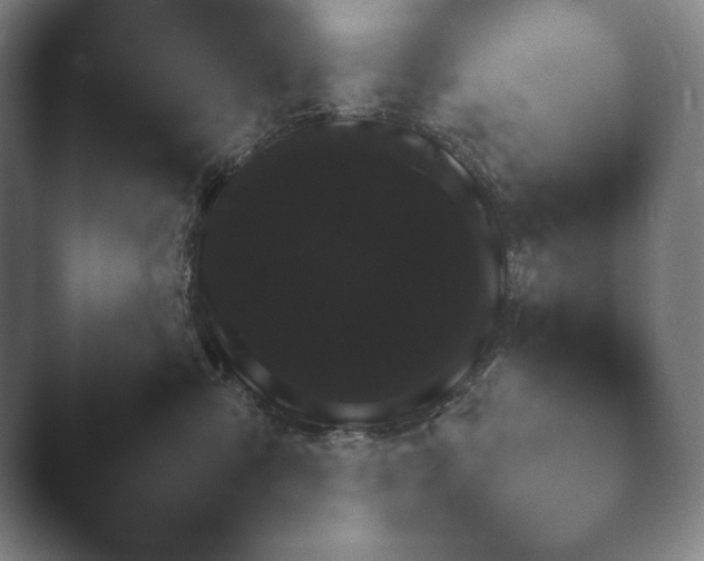 X0000041780427200411271526.png