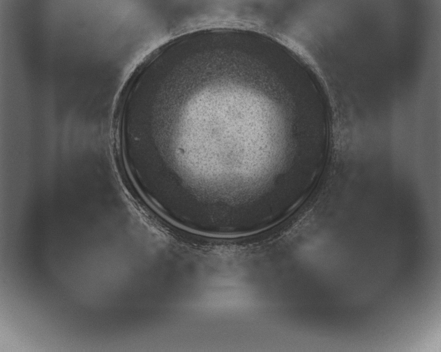 X0000038921043200409291000.png