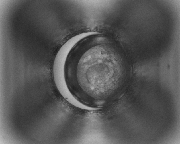 X0000041230754200411182043.png