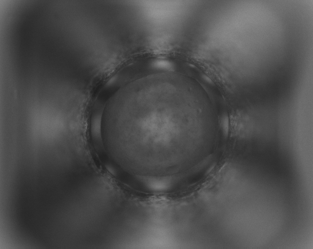 X0000048530427200503171515.png