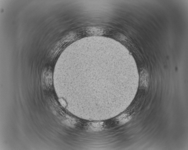 X0000054580474200508300105.png