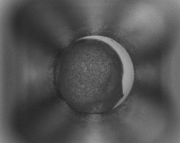 X0000043830181200501051242.png