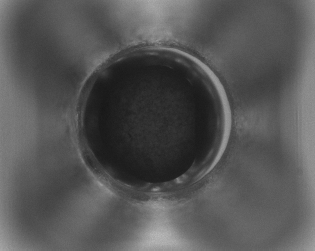 X0000054730630200508171852.png