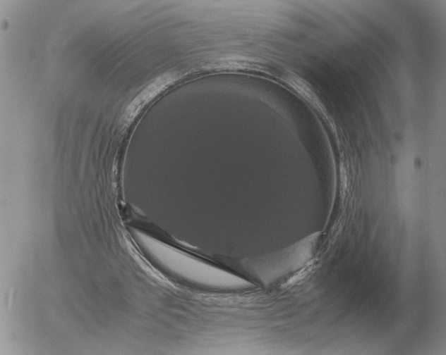 X0000054170389200508101805.png