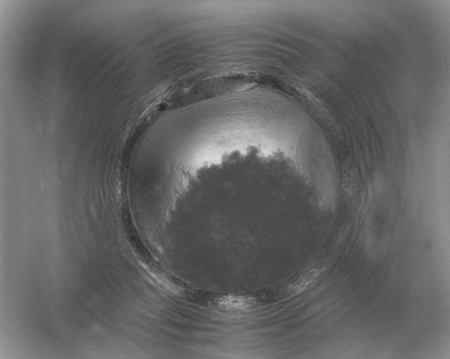 X0000054350261200508190136.png