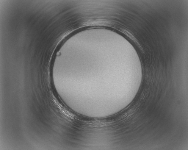 X0000055250980200509071611.png