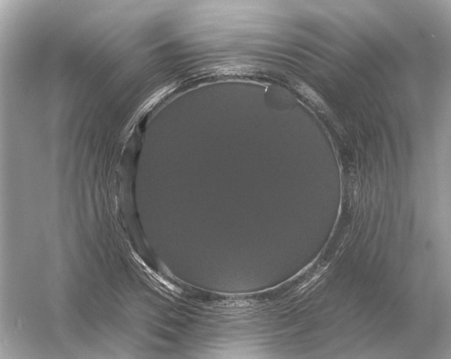 X0000054350930200508190124.png