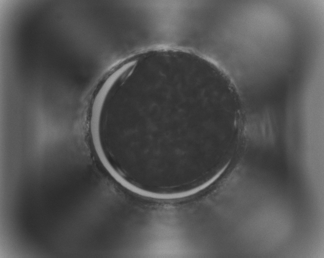 X0000040661359200411092000.png