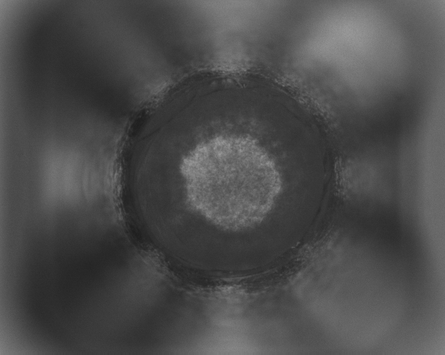X0000047500692200503161513.png