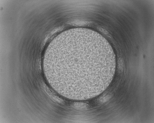X0000054580399200508300106.png