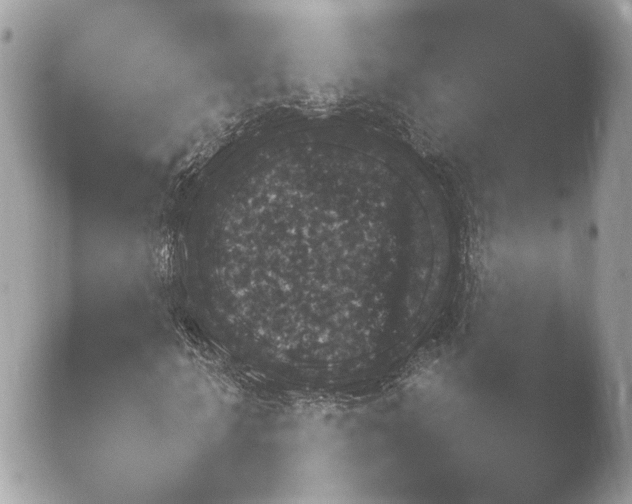 X0000052120818200507262049.png