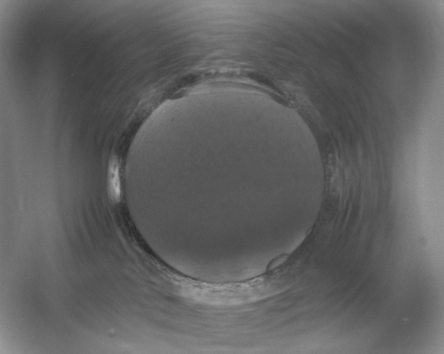 X0000054350042200508190139.png