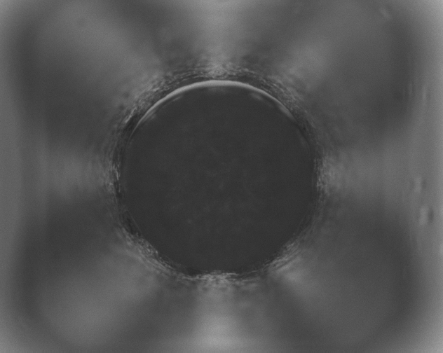 X0000038850524200410131831.png