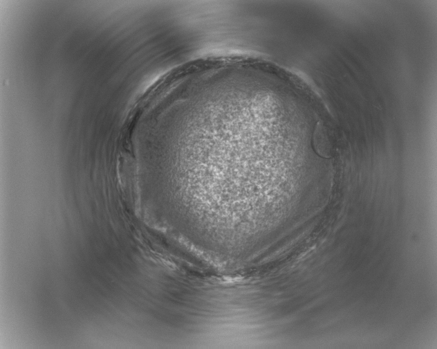 X0000054300871200508042307.png