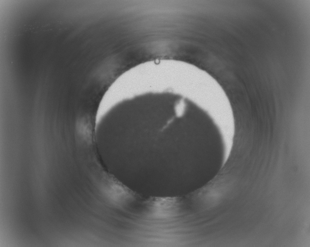 X0000053460720200508112157.png