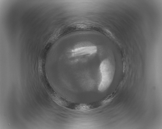 X0000054350217200508190137.png