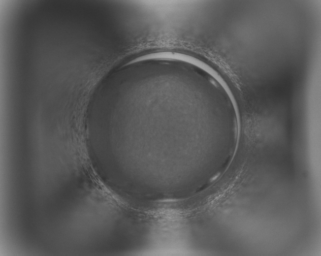 X0000052020577200507181629.png