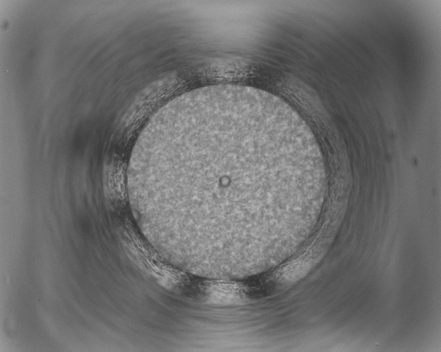 X0000054580336200508300107.png