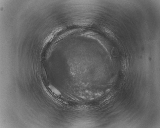 X0000054170734200508101759.png