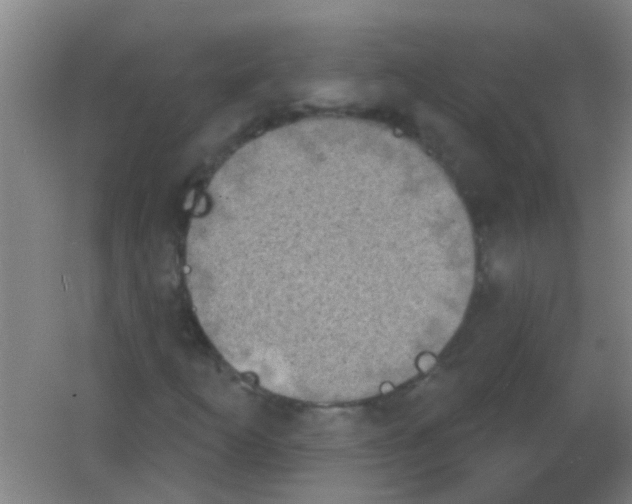 X0000053461253200508112148.png