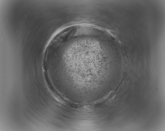 X0000054300056200508042321.png