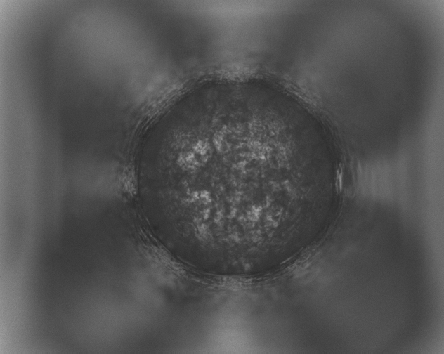 X0000039761251200409281017.png